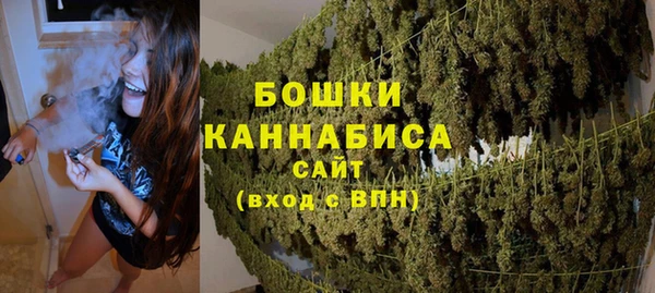 сатива Кинешма