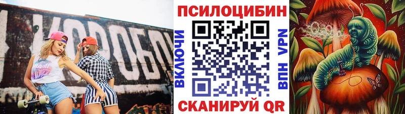 продажа наркотиков Усолье-Сибирское МЕГА вход Псилоцибиновые грибы GOLDEN TEACHER