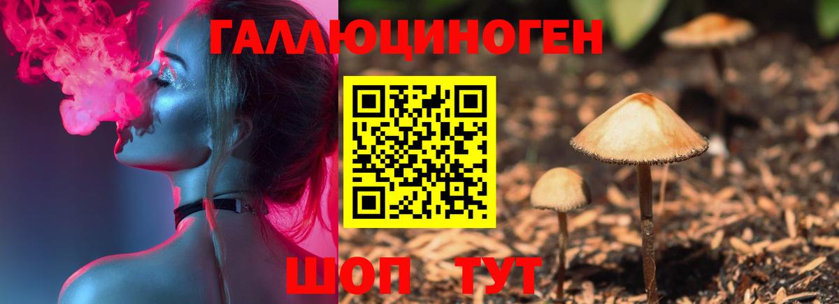 Усолье-Сибирское  Псилоцибиновые грибы Magic Shrooms  Вход с VPN 
